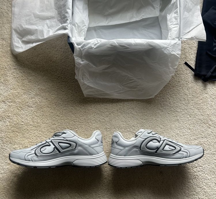 Dior B30 grey