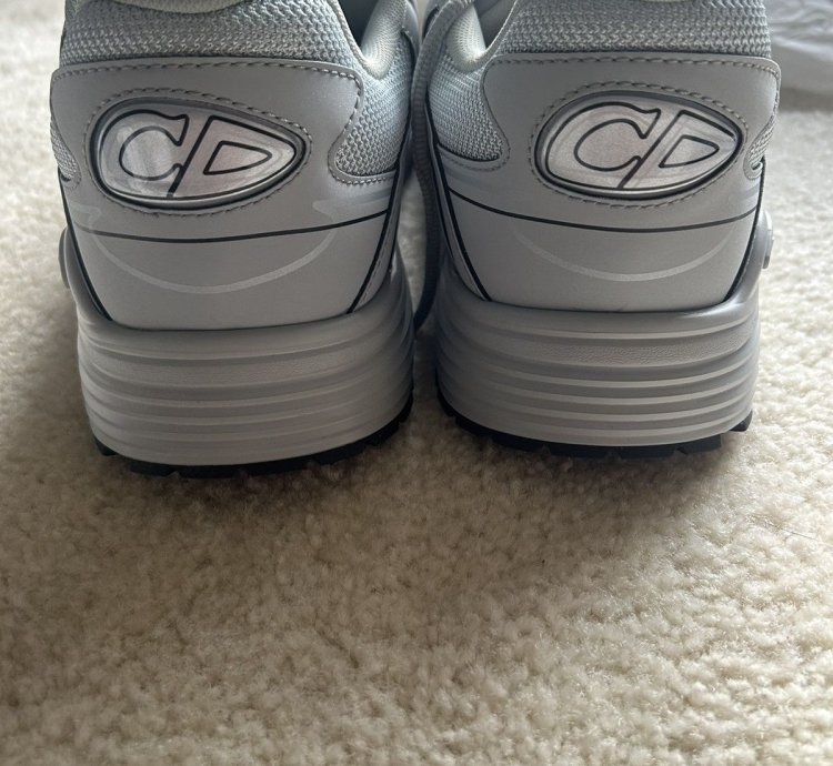 Dior B30 grey