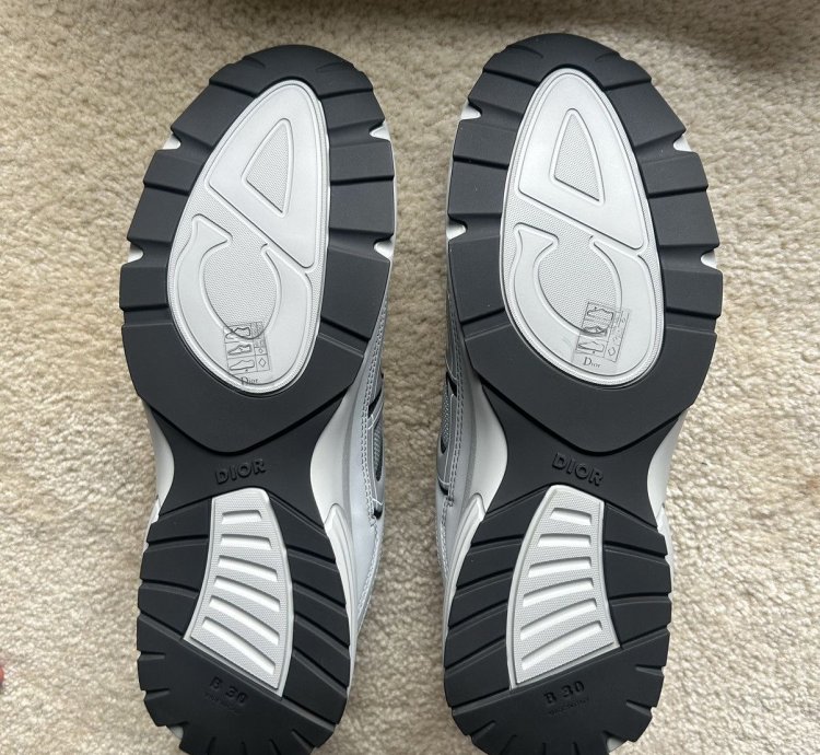 Dior B30 grey