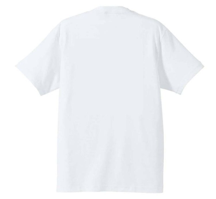 Kikstyo Nanako Kurosaki Nike Sb Dunk Cherry Blossom Tee