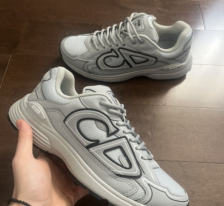 Dior B30 Grey Sneakers