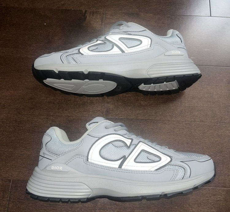 Dior B30 Grey Sneakers