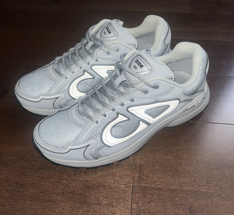 Dior B30 Grey Sneakers