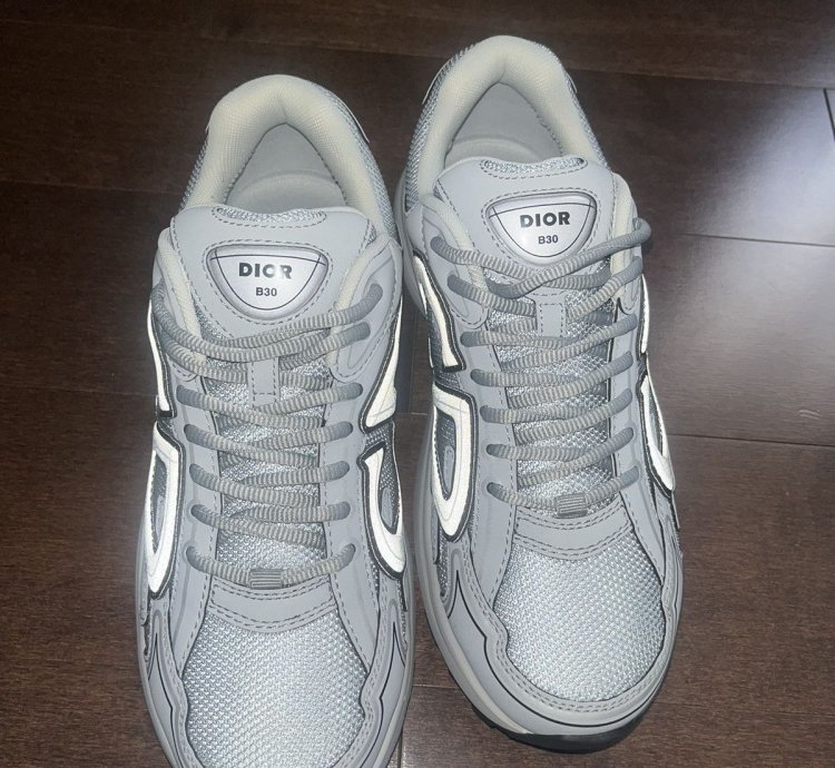 Dior B30 Grey Sneakers