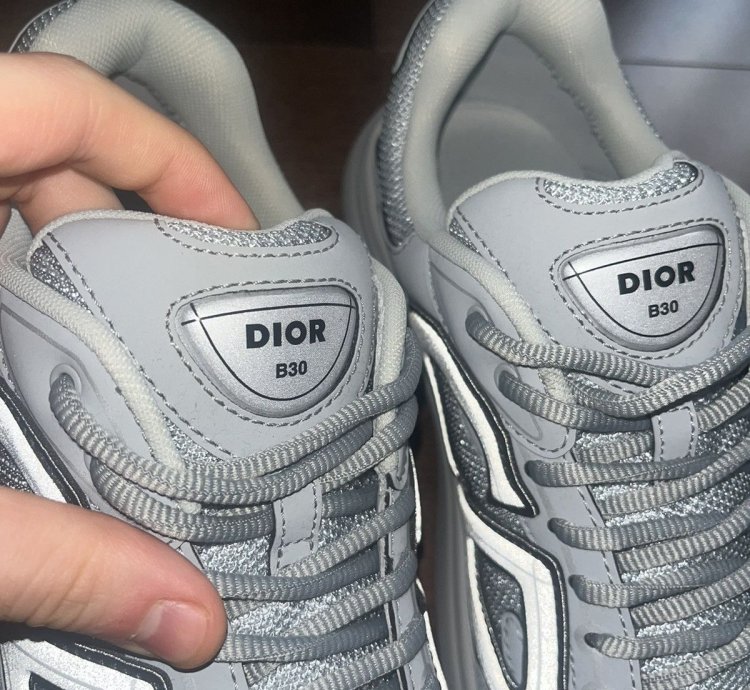 Dior B30 Grey Sneakers
