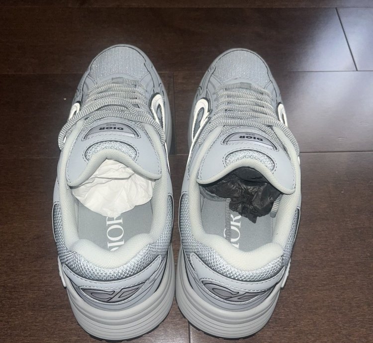 Dior B30 Grey Sneakers