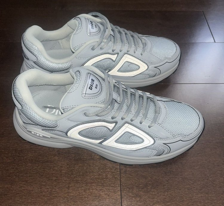 Dior B30 Grey Sneakers