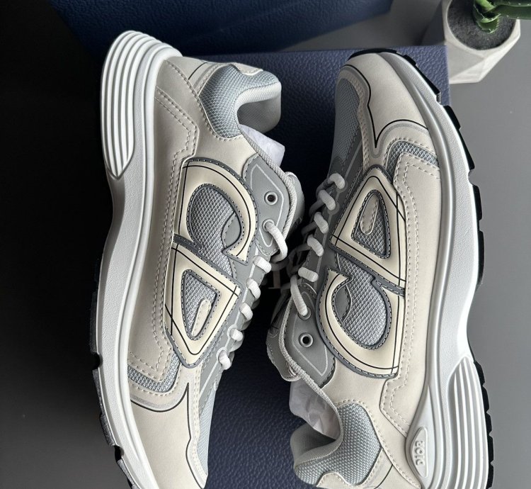 Dior B30 Grey White