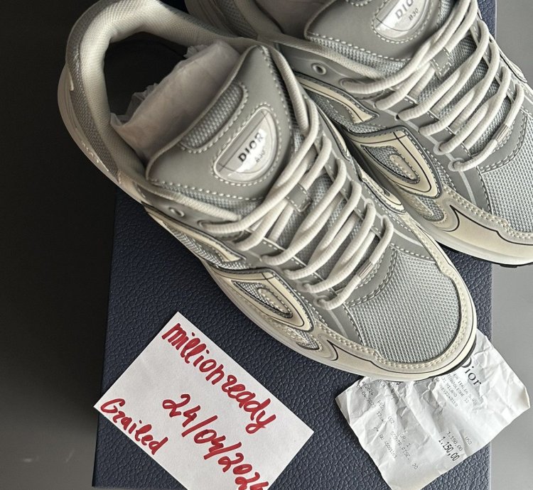 Dior B30 Grey White