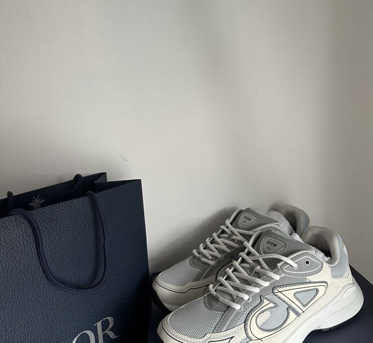 Dior B30 Grey White