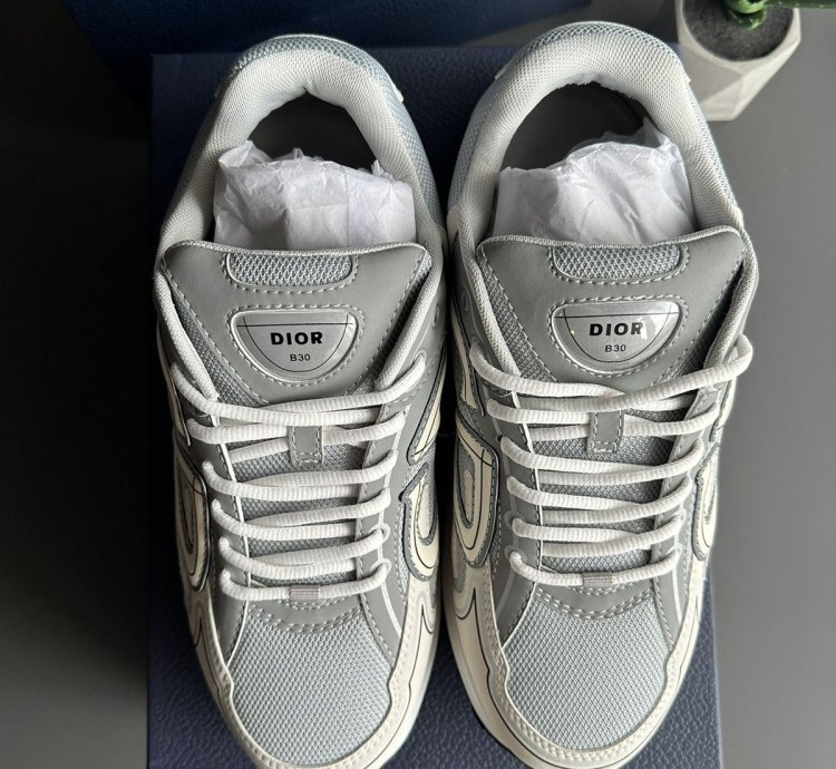 Dior B30 Grey White