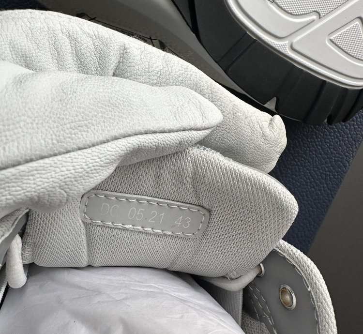 Dior B30 Grey White