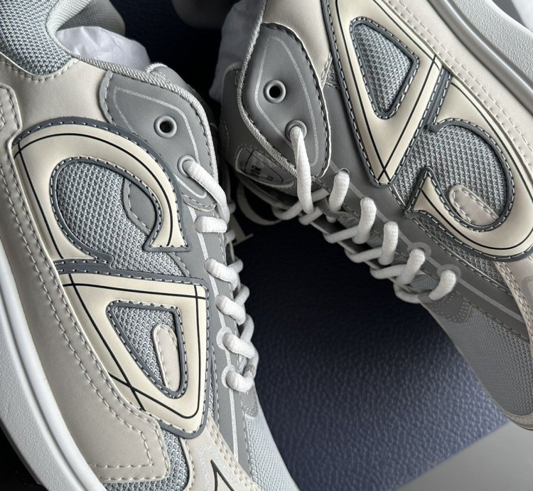 Dior B30 Grey White