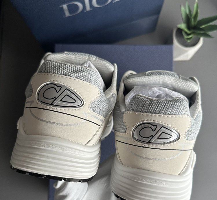 Dior B30 Grey White