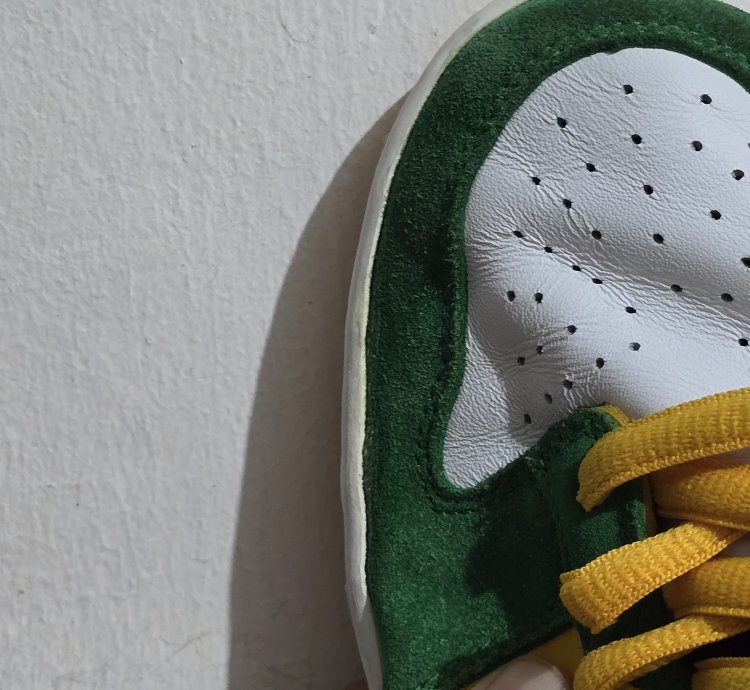 Nike - 2003 Nike Sb Dunk Low Pro Buck Oregon Bucks