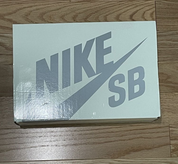 Nike There Skateboards Sb Dunk Low Size 12