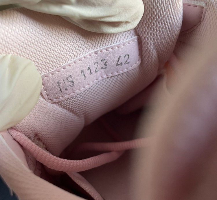 Dior B30 Pink Sneakers