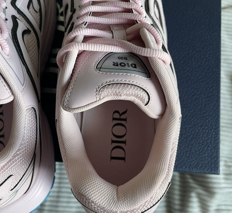 Dior B30 Pink Sneakers