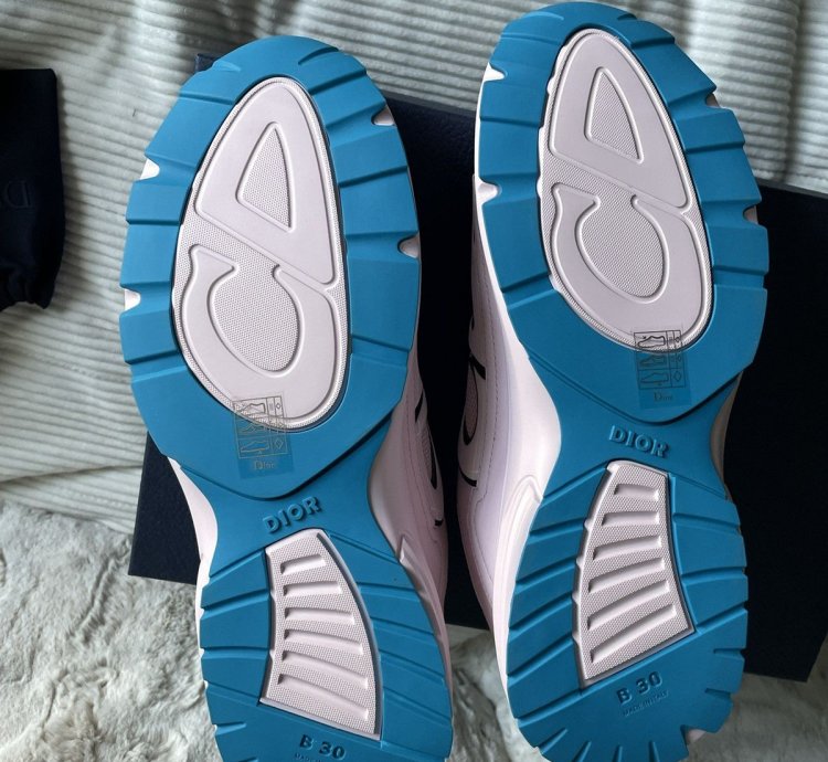 Dior B30 Pink Sneakers