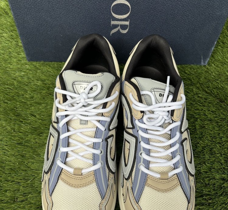 Dior B30 Sneaker
