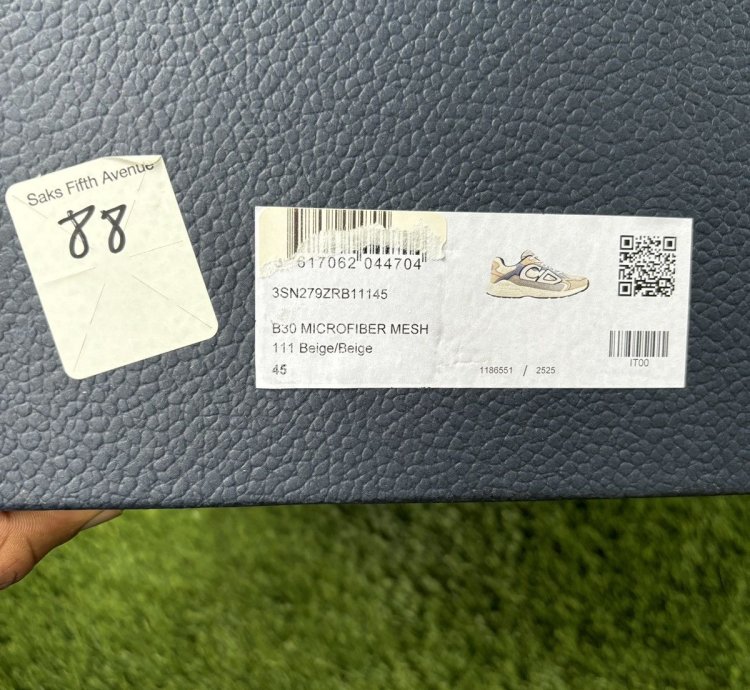 Dior B30 Sneaker