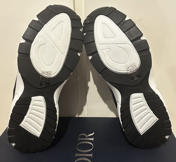 Dior B30 Sneakers