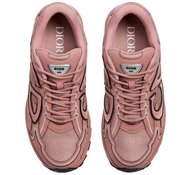 Dior B30 Trainer Pink