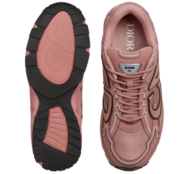 Dior B30 Trainer Pink
