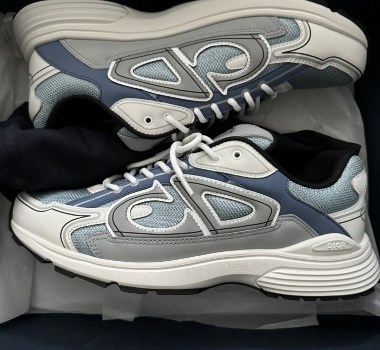Dior B30 Trainers