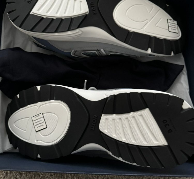 Dior B30 Trainers