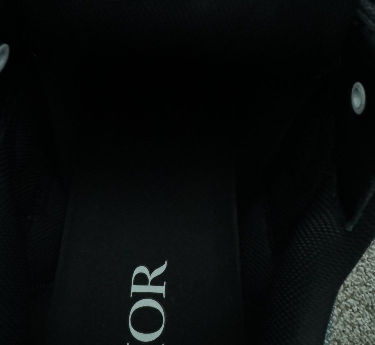 Dior B30 Trainers