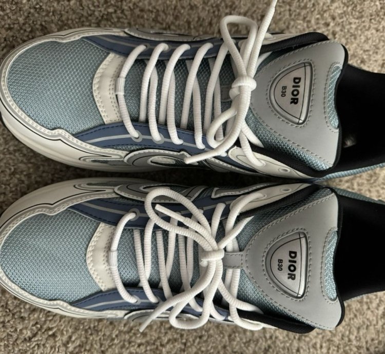 Dior B30 Trainers
