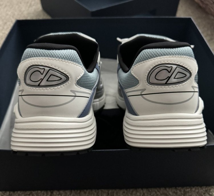 Dior B30 Trainers
