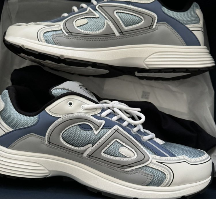 Dior B30 Trainers
