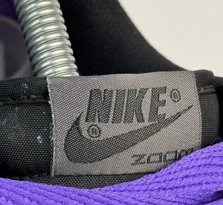 Nike Dunk Low Premium Sb Purple Pigeon Men