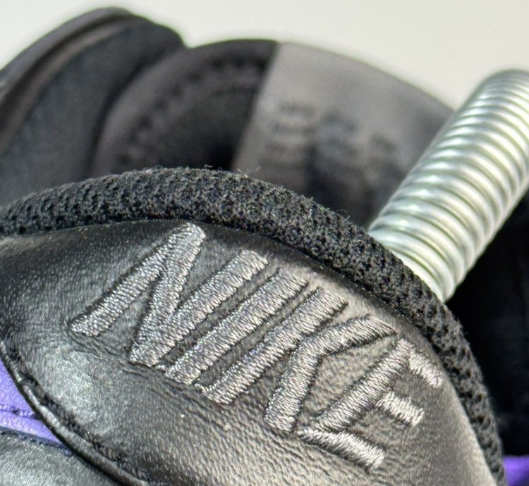 Nike Dunk Low Premium Sb Purple Pigeon Men