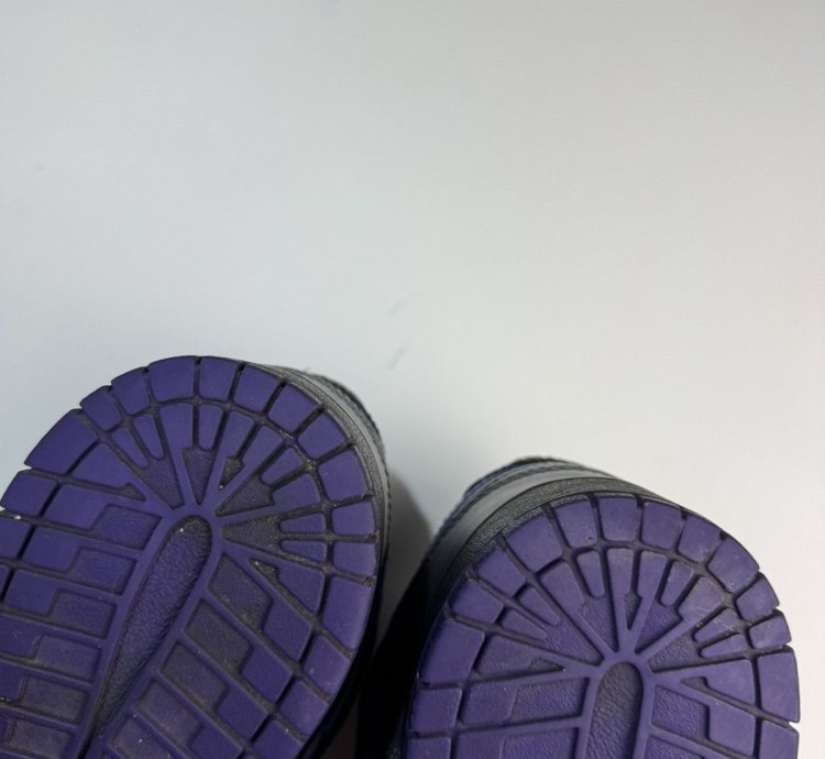 Nike Dunk Low Premium Sb Purple Pigeon Men