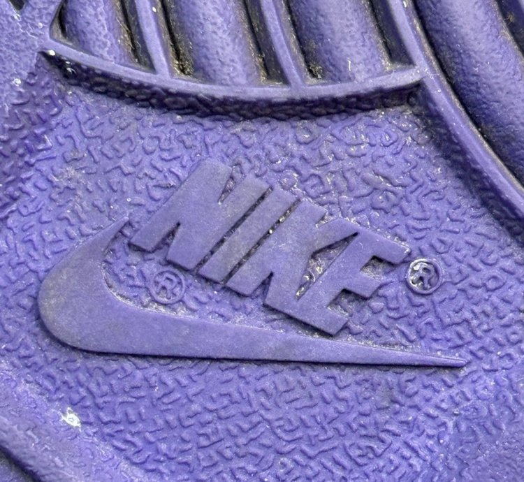 Nike Dunk Low Premium Sb Purple Pigeon Men