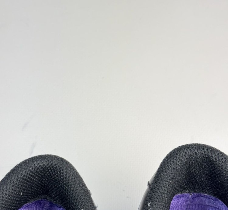 Nike Dunk Low Premium Sb Purple Pigeon Men