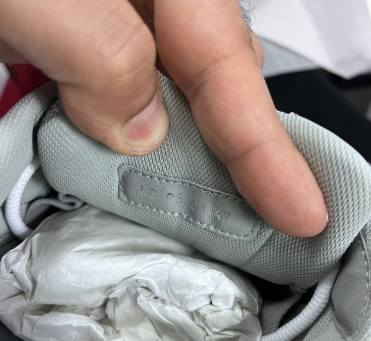 Dior B30 White Sneakers