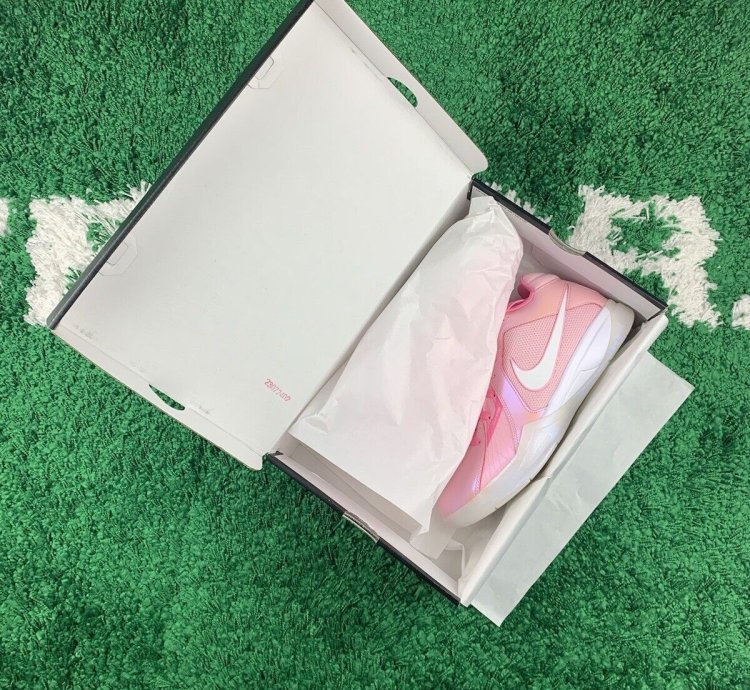 Nike Zoom Kd 3 Aunt Pearl Men Size 10 New Fj0982-600