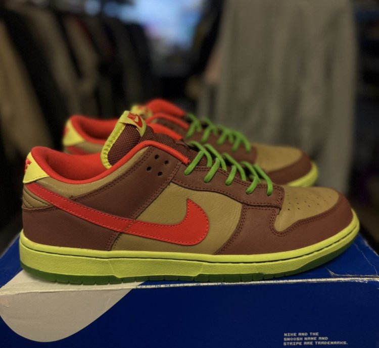 Nike Dunk Low Premium Sb Toxic Sea Robbin Size 11 Men