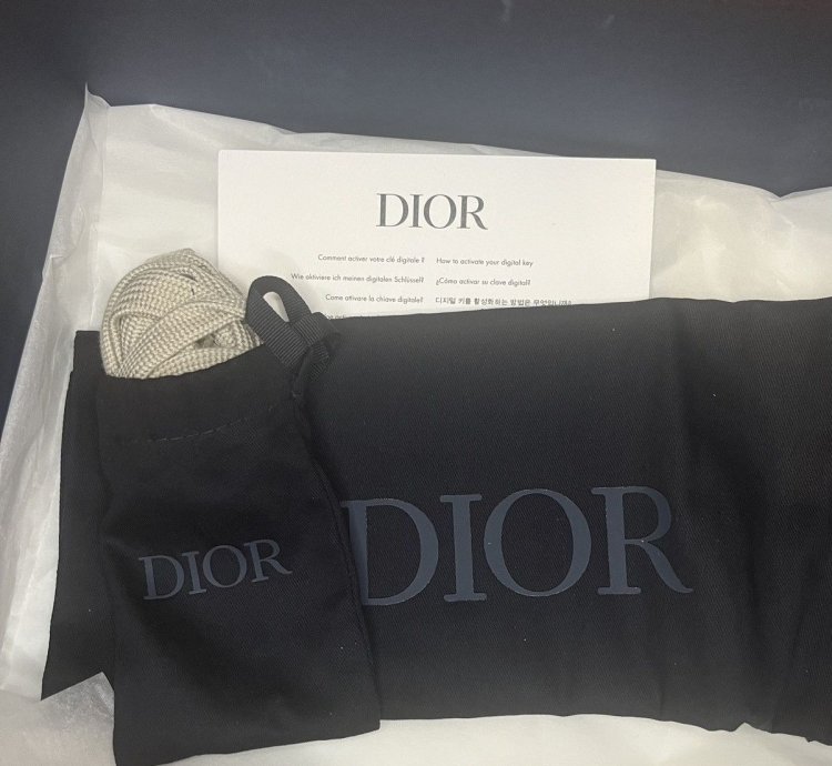 Dior B33 Oblique Low-top Sneaker