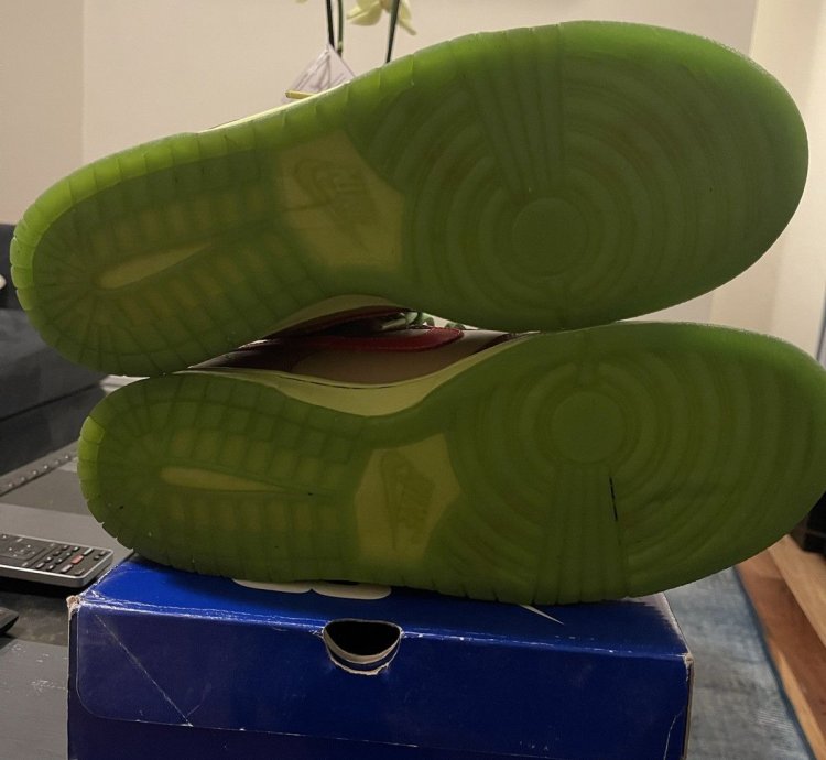Nike Dunk Low Premium Sb Toxic Sea Robin