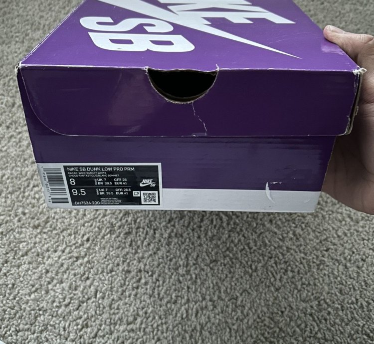 Nike Dunk Low Pro Premium Sb Paisley Size 8