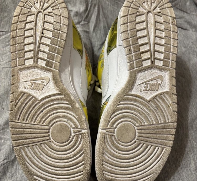Nike Dunk Low Pro Sb De La Soul 2005