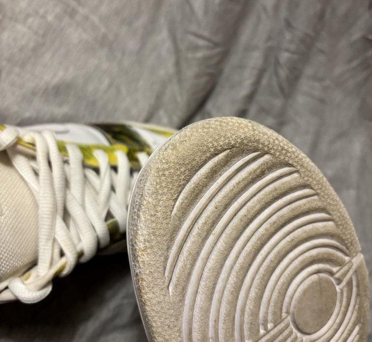 Nike Dunk Low Pro Sb De La Soul 2005