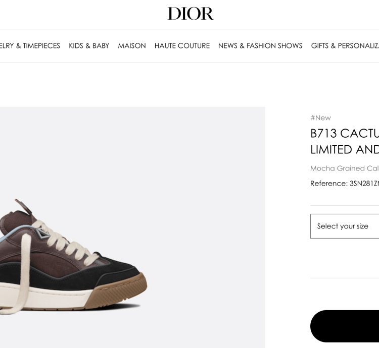 Dior B713 Cactus Jack Sneaker