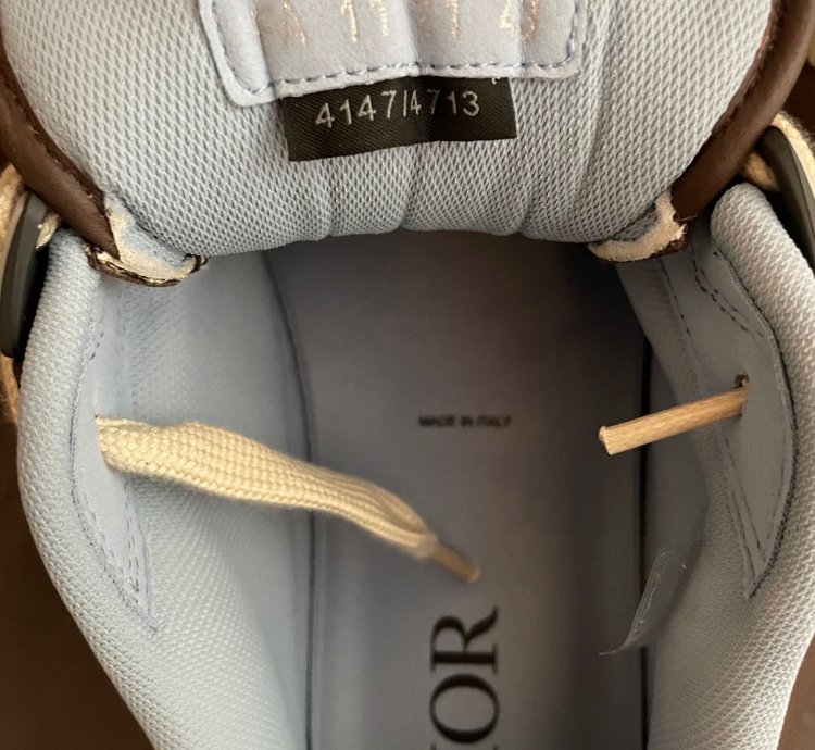Dior B713 Cactus Jack Sneaker