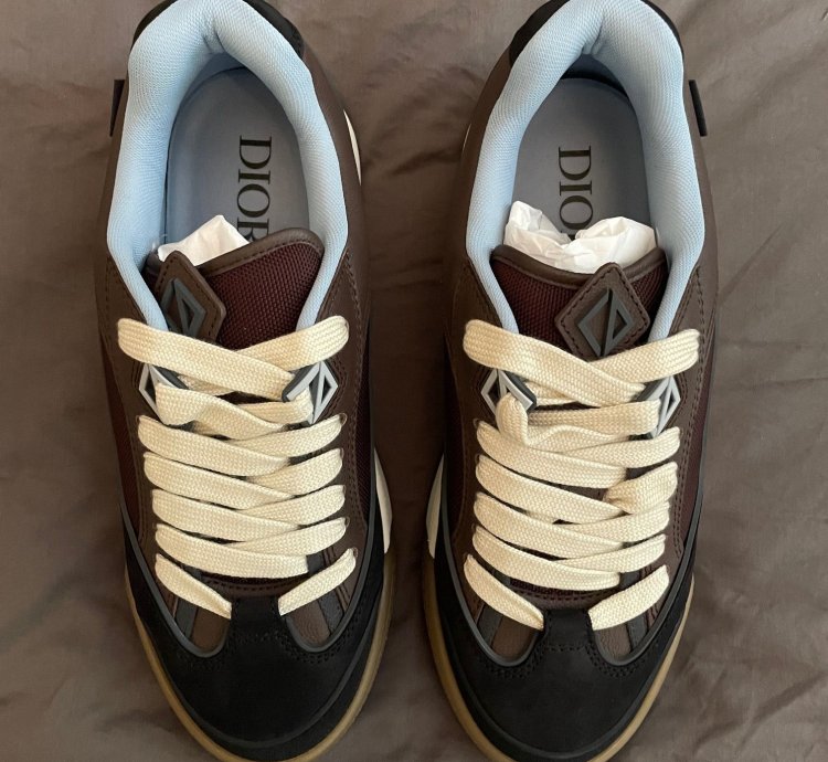 Dior B713 Cactus Jack Sneaker